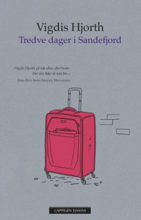 Tredve dager i Sandefjord : roman