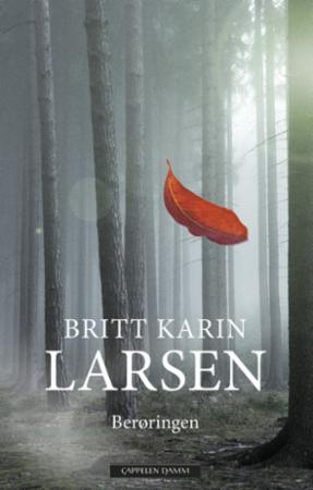 Berøringen : roman