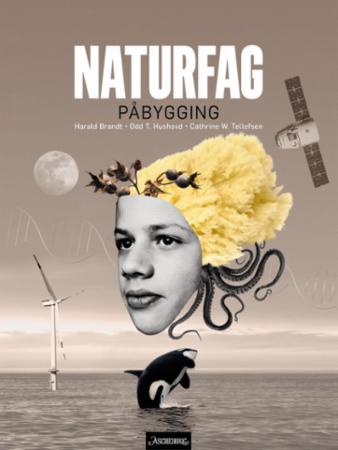 Naturfag påbygging vg3 : Lærebok : naturfag for videregående