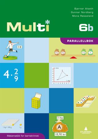 Multi 6b : parallellbok : matematikk for barnetrinnet