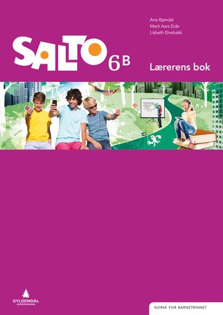 Salto 6 : Lærerens bok B