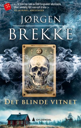 Det blinde vitnet : en Odd Singsaker-krim