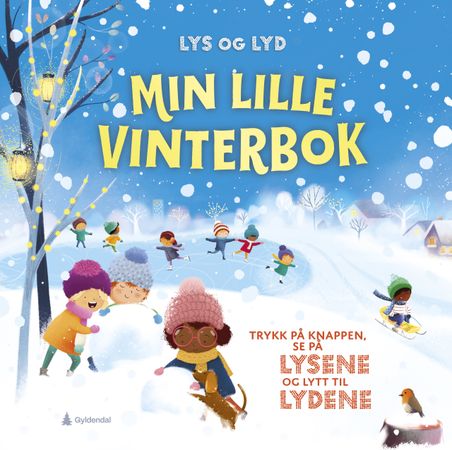 Min lille vinterbok