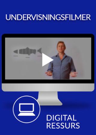 Undervisningsfilmer : Undervisningsfilmer i norsk