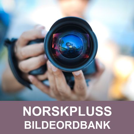 NorskPluss Bildeordbank - nynorsk : interaktivt læremiddel for begrepslæring : bilder, lyd og ord