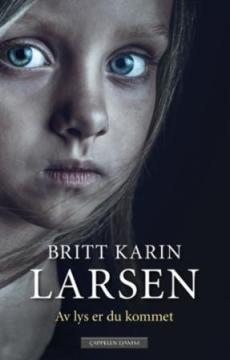 Av lys er du kommet : roman