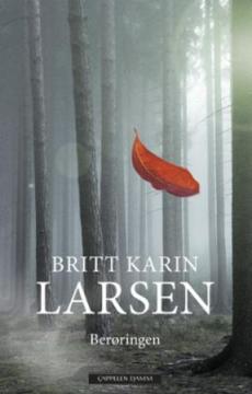 Berøringen : roman
