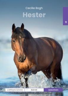 Hester