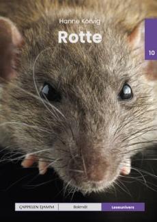 Rotte