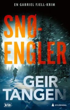 Snøengler : kriminalroman