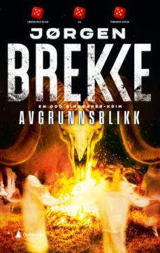 Avgrunnsblikk : kriminalroman