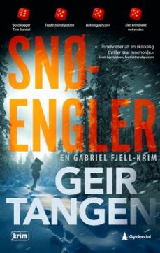 Snøengler : kriminalroman