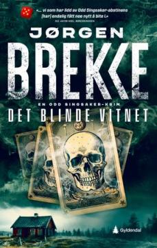 Det blinde vitnet : en Odd Singsaker-krim