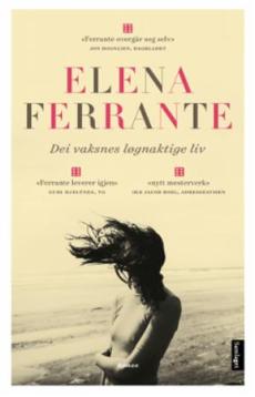 Dei vaksnes løgnaktige liv : roman