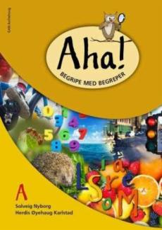 Aha! : begripe med begreper A