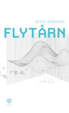Flytårn : roman