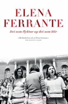 Dei som flyktar og dei som blir : mellomår : roman