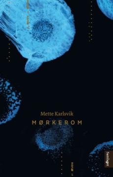 Mørkerom : roman