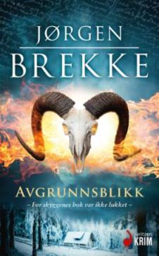Avgrunnsblikk : kriminalroman
