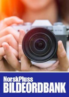 NorskPluss Bildeordbank : interaktivt læremiddel for begrepslæring : bilder, lyd og ord