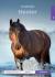 Hester